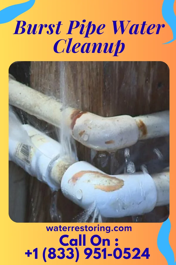 Burst Pipe Water Cleanup in Neillsville, WI