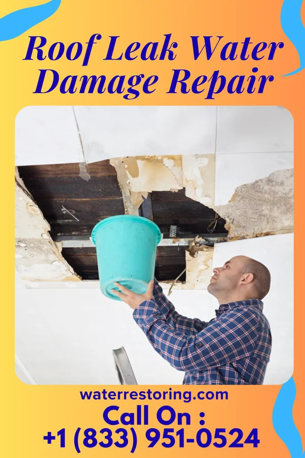 Roof Leak Water Damage Repair in Neillsville, WI