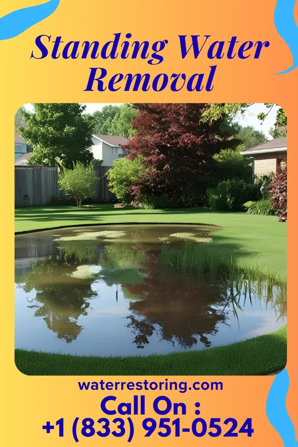 Standing Water Removal in Neillsville, WI